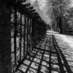 park w gdańsku